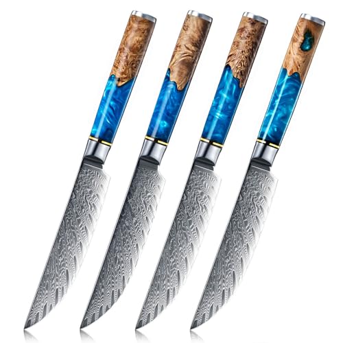 SENKEN Damascus Steak Knife Set - Tsunami Collection - 67-Layer Japanese VG10 Steel - Razor Sharp Non-Serrated Blades, Blue Resin & Natural Wood Pattern Handles, Luxury Gift Box (4 Steak Knife Set) SENKEN Damascus Steak Knife Set - Tsunami Collection - 67-Layer Japanese VG10 Steel - Razor Sharp Non-Serrated Blades, Blue Resin & Natural Wood Pattern Handles, Luxury Gift Box (4 Steak Knife Set)