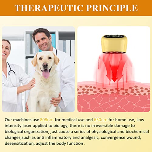 Kts Cold Laser Therapy For Dogs,Red Light Vet Device For Pets,Handheld Infrared Light Therapy For Pain Relief, Muscle & Joint Pain,Light Wavelength 650Nm/808Nm,Suitable For Cats Dogs Horse Animals #TOP2