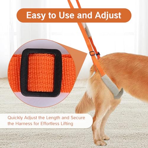 Image of Sling for Dogs Back Legs Rear Support Harness for Paralyzed or Handicapped Pets Assistance Lift Slings for Hind Leg Mobility Small Dog Handicap Supplies for Joint Injuries and Stability (Orange)