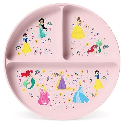 Simple Modern Princess Rainbows Plate Cover