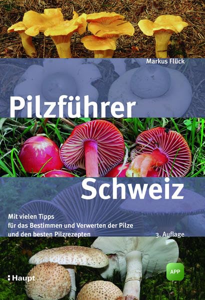 Pilzführer Schweiz: Mit vielen Tipps fürs Bestimmen und Verwerten und den besten Pilzrezepten