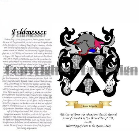 Coat of Arms/ Family Crest on Fine Paper and Family History (IN Stock)
