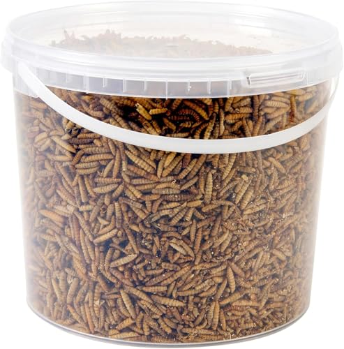 Wild Bird Food 5L Tub (5L Tub Calci Worms)