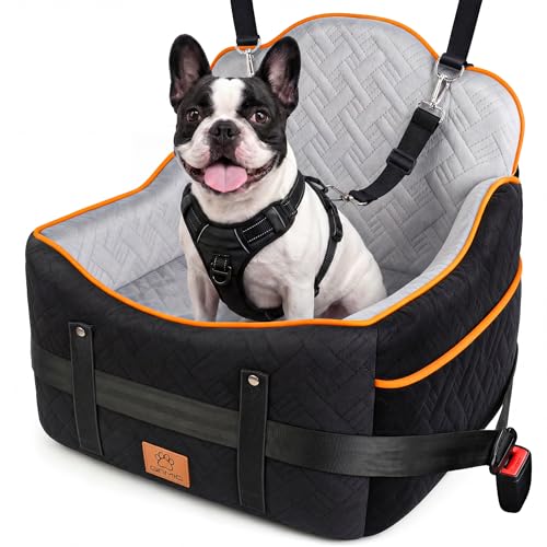 GINMIC Dog Booster with Dual Leashes
