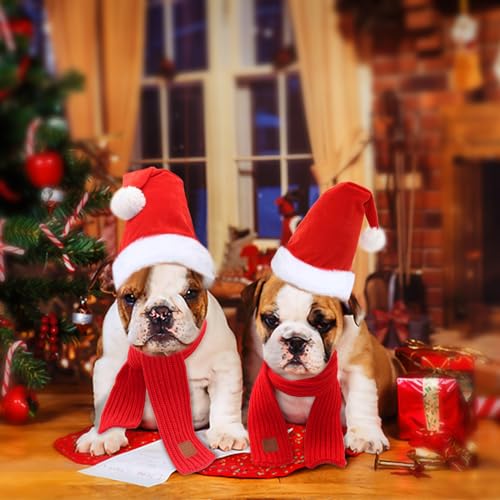 Mfsdai Weihnachtskostüm Hunde Katzen,Katzenkostüm Weihnachten Verstellbare Hundemütze Schal Weihnachtshundeschal für Große Haustier