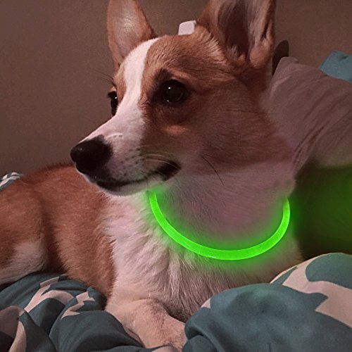 Bseen Led Dog Collar - Cuttable Water Resistant Glowing Dog Collar Light Up, Usb Rechargeable Pet Necklace Loop For Small, Medium, Large Dogs (Neon Green) #TOP6