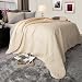Lavish Home Solid Color Bed Quilt, Twin, Ivory