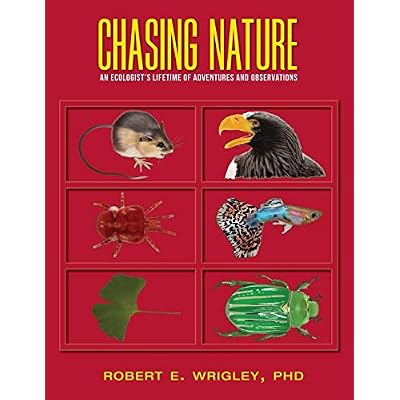 Chasing Nature