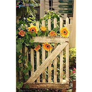 Green Seeds Co. 20 Mini Sunflower Bonsai Nano Sunflower in Vaso Series height 40cm Fiore Bonsai Bloom Garden Home: Yellow: Only Seeds