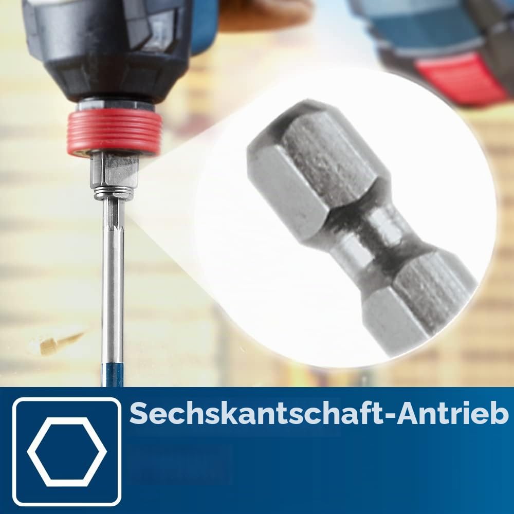 Bosch DSB5013P Daredevil Spaten-Bit-Set in Tasche, 13-teilig