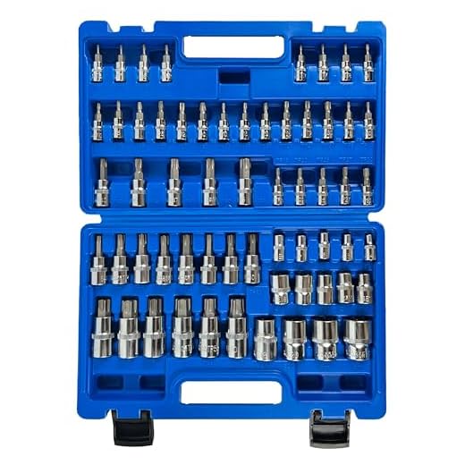 SUNHZMCKP Master Torx Bit Socket and External Torx Socket Set, 60-Piece Set, S2 and Cr-V Steel,E4-E24, T6-T70,TT6-TT70,TP8-TP60