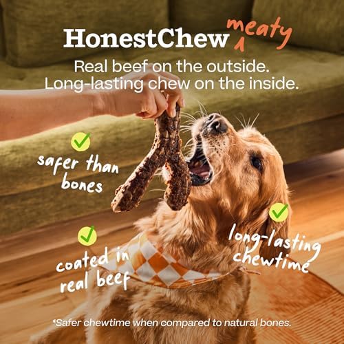 WOOF HonestChew Meaty Dog Toy Y-Gnawt - Durable Dog Chews - Made with Real Beef and Natural, Plant-Based Ingredients - Splinter-Resistant - Safer Than Dog Bones - Medium — view 3