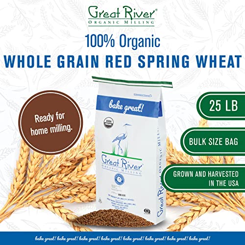 Great River Organic Milling, Whole Grain, Hard Red Spring Wheat, Organic, 25-Pounds (Pack Of 1) #TOP1