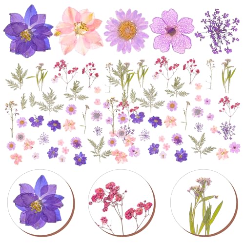 Mezcla de Flores Secas Artesanales 27 Piezas Kit DIY miniatura 4