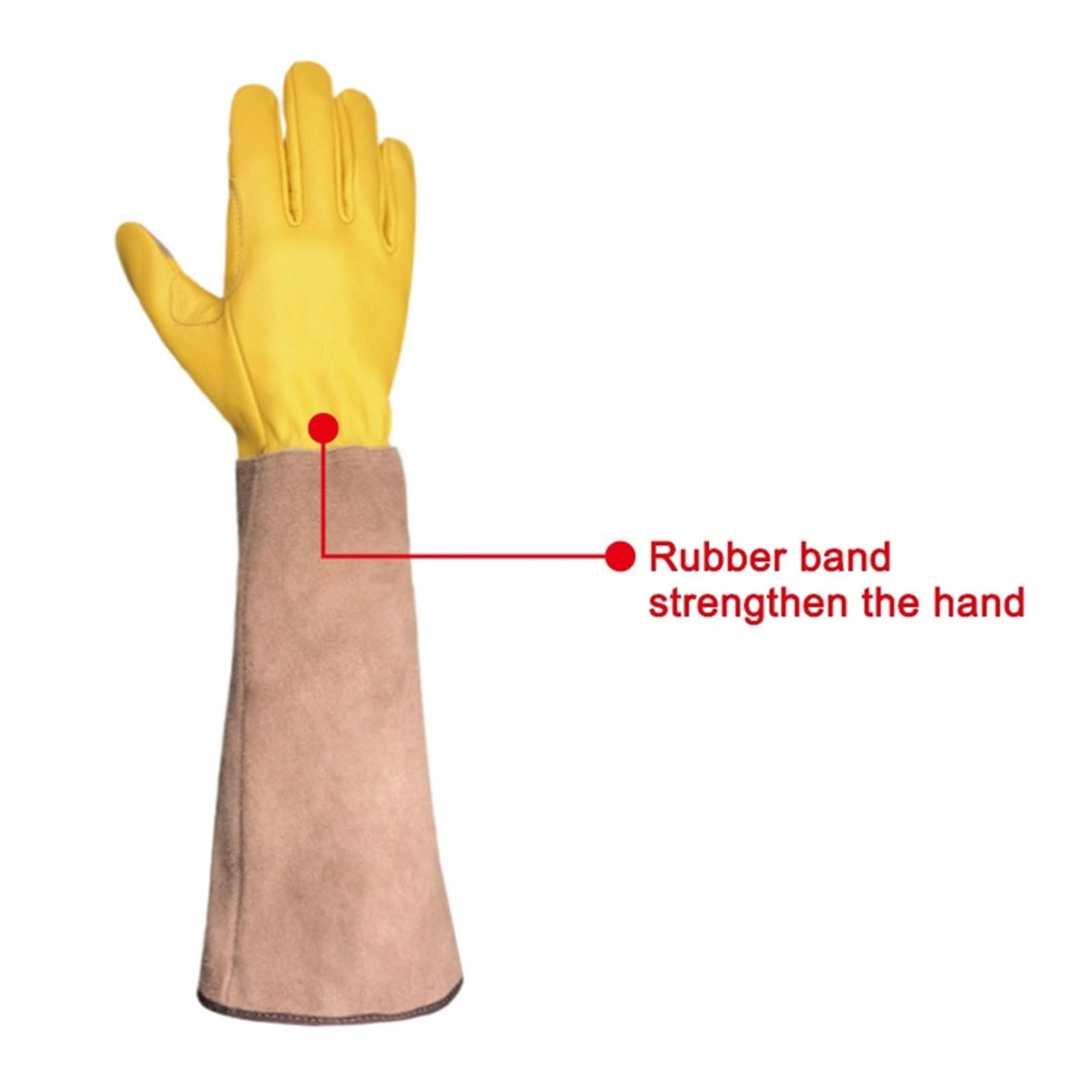Guanti da giardinaggio, guanti da giardinaggio unisex in gomma mucca, diverse misure per la cura delle spine rosa con guanti(XL)