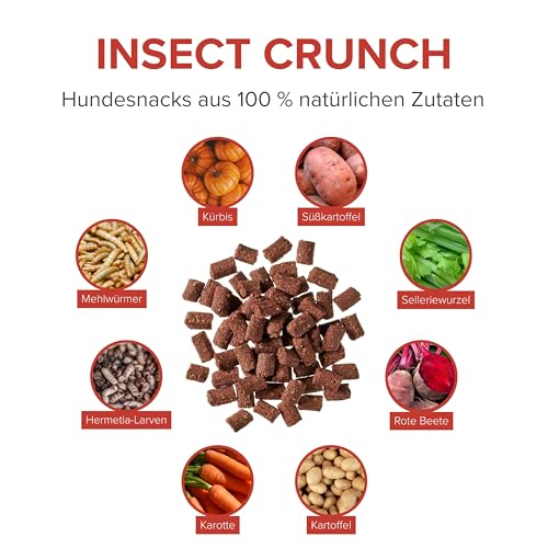 Insect Crunch – Hundeleckerlis mit Insektenprotein & Gemüse – Nachhaltige, getreidefreie Snacks ohne künstliche Zusätze – 200 g