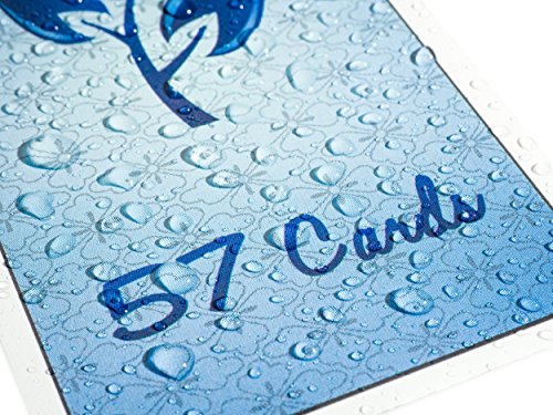 Cartas de plástico variedad 4 pack miniatura 4