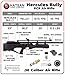 Wearable4U - Hatsan HGHercBull-30 Hercules Bully .30 Caliber Air Rifle with Included 100x 46.3 Grain Pellets Bundle (Black)