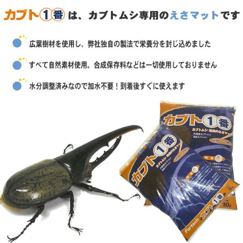 Amazon | フォーテック 昆虫マット カブト1番 カブトムシ 幼虫のエサ