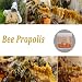 Accretion Bee Propolis for Dogs and Cats, 4oz, Dental Defense & Respiratory Health, Supports Seasonal Immunity & Immune System, Natural Oral Care Supplement for Fresh Breath & Gum Comfort