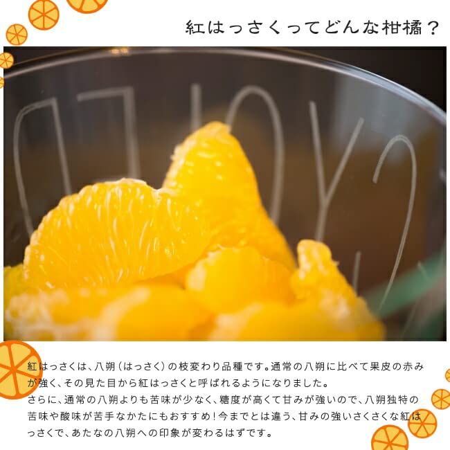 Amazon.co.jp: 【紅八朔 （べにはっさく）】 3年生 接木大苗 【産地で