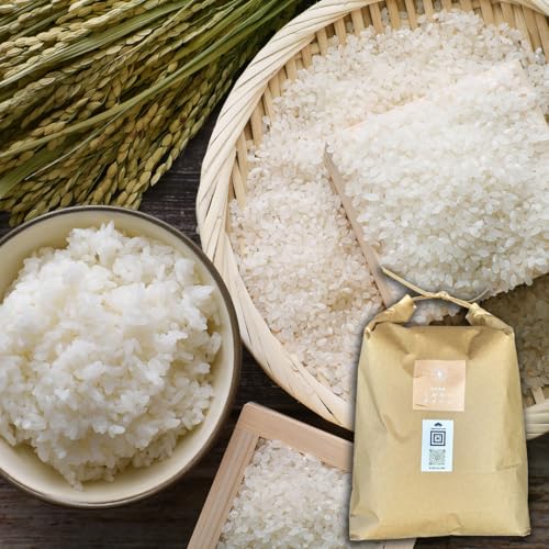 米 ミルキークイーン5kg」の人気商品一覧 | 安い商品を通販サイトから