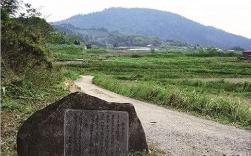 [日の丸交通]観光ツアータクシー 山の辺の道コース(2時間利用)