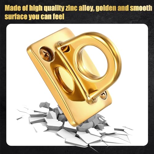 3.3 Foot Velvet Stanchion Rope with 2 Pcs Pcs Gold Large Loop Wall Plate Stanchions Safety Barriers for Event Movie Theaters Grand Opening Hotel (Black, 3.3 Foot)