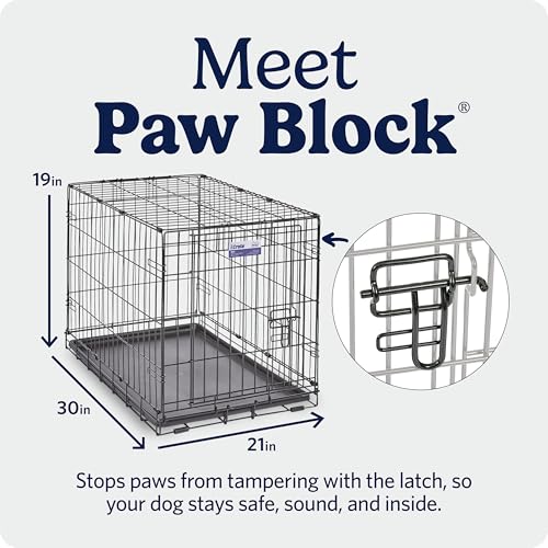 MidWest Homes for Pets iCrate Hundebox, klappbar, 1 Tür, Trennwand, auslaufsichere Bodenwanne, sichere Verriegelungen, Drahtgitterbox für mittelgroße Rassen, tragbar, robust, einfacher Aufbau, 76 cm