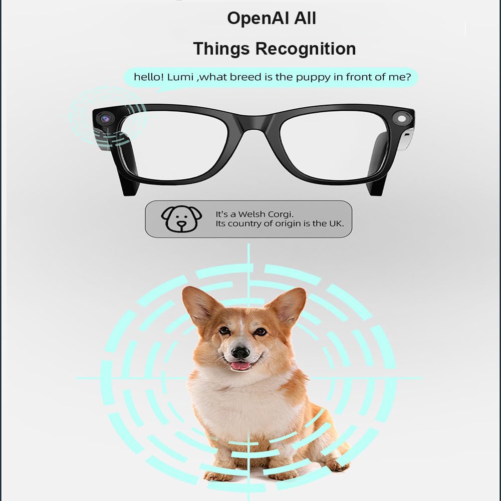 Occhiali Intelligenti Con Telecamere, Telecamera Hd Da 2000 Pixel, Riconoscimento Delle Immagini, Bluetooth E Wi-Fi, Controllo Touch Scorrevole, Comodi Da Indossare, Per Viaggi, Lavoro, Affari