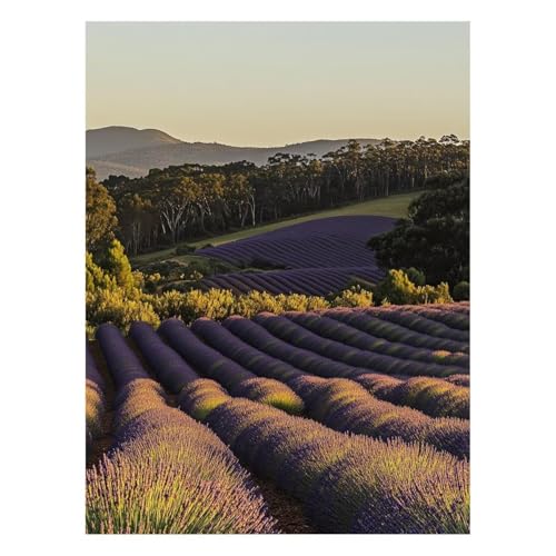 ���i �������G �����h��G ����L�b�g �Ԕ� DIY �A�[�g�G���|�L�b�g �E�H�[���A�[�g �y�C���g�o�C�i���o�[ �H ���� �L�����o�X �G��Ǐ���55x40cm �p�L�����r���O���[���Q���̉Ƃ̑��� �a�����v���[���g���� JLYH-9447