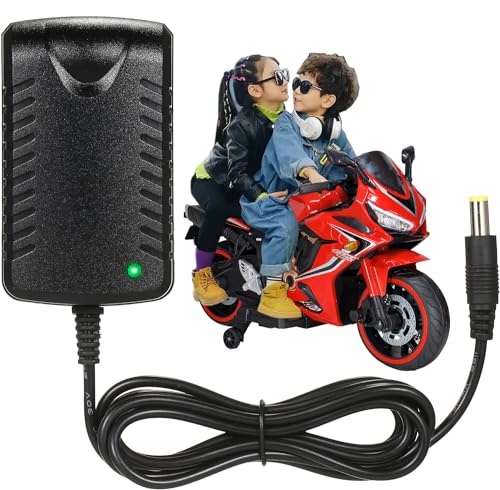 Image of Wishmaster Kids Ride On Bike Charger for All Types 12V