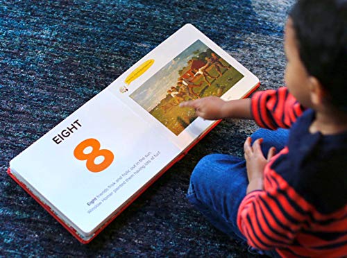 Sky Pony Hahn, Sabrina 123S Of Art thumb #7