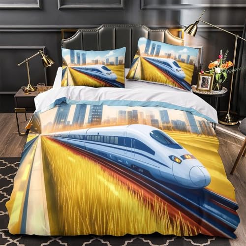 Housse de Couette Hypoallergique King Lit 3D Cœur Respirant à Zip - 2