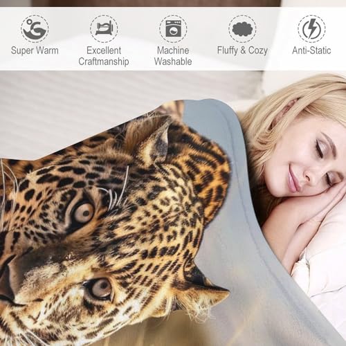 Couverture moelleuse léopard pour soirées cocooning sur le canapé