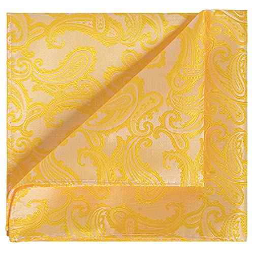 Image of KissTies Mens Paisley Tie And Pocket Square Necktie Sets