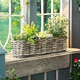 Dekoleidenschaft Rattan Pflanzkasten Koboo Grey 60 cm lang, grau, Balkonkasten, Balkon-Blumenkasten für Drinnen & Draußen, Pflanzgefäß für die Fensterbank, Flechtkorb, Pflanzkübel rechteckig