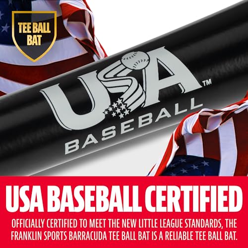 Béisbol, Sports bat beisbol Marca Franklin Sports (2)