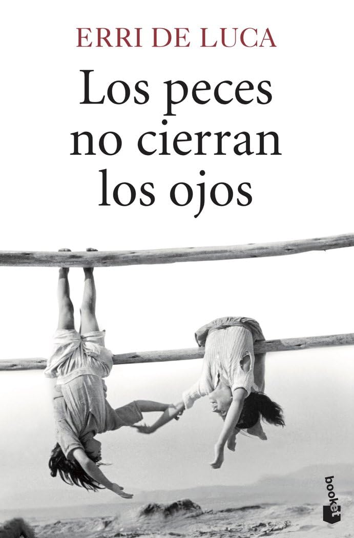 Los peces no cierran los ojos (Novela)