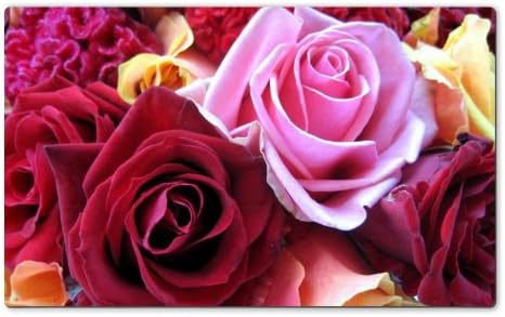 Roses Flowers Buds Colorful Close Up Table Mats Customized Made to Order Support Ready 28 6/16 Inch (720mm) X 17 11/16 Inch (450mm) X 1/8 Inch (4mm) High Quality Eco Friendly Cloth with Neoprene Rubber Liil Deskmat Desktop Mousepad Laptop Mousepads Comfortable Computer Place Play Mat Cute Gaming Mouse pads