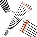 ZSHJGJR Archery Compound Bow and Arrow Set for Youth and Adults Beginner 16