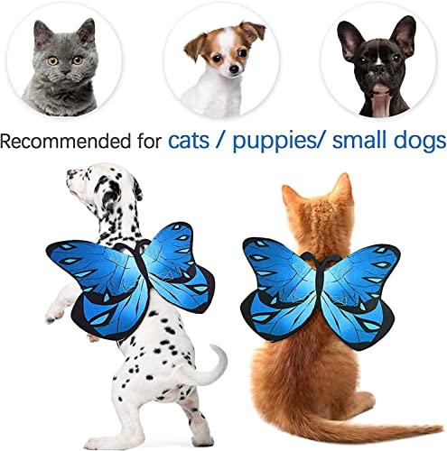 Cat butterfly costume halloween wings for small dogs and cats, puppy cat apparel clothes for halloween party decoration (purple) 6 Cat butterfly costume halloween wings for small dogs and cats, puppy cat apparel clothes for halloween party decoration (purple) - image 7