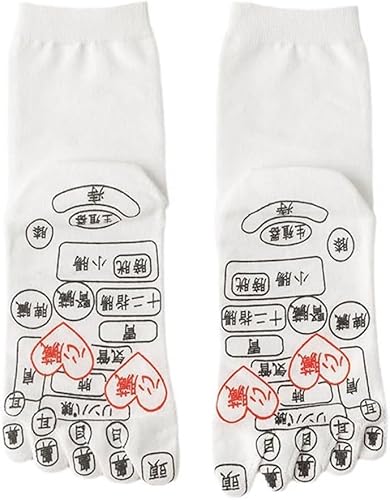 c{ C ڌC c{\bNX T{w\bNX ˋ vg  c{₷ }bT[W ɘa ʋC _炩 ɗD N XgX Sn Y fB[X  v[gϋv̂H