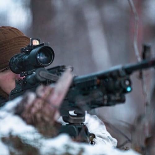 "Machine Gun vs Auto Rifle"