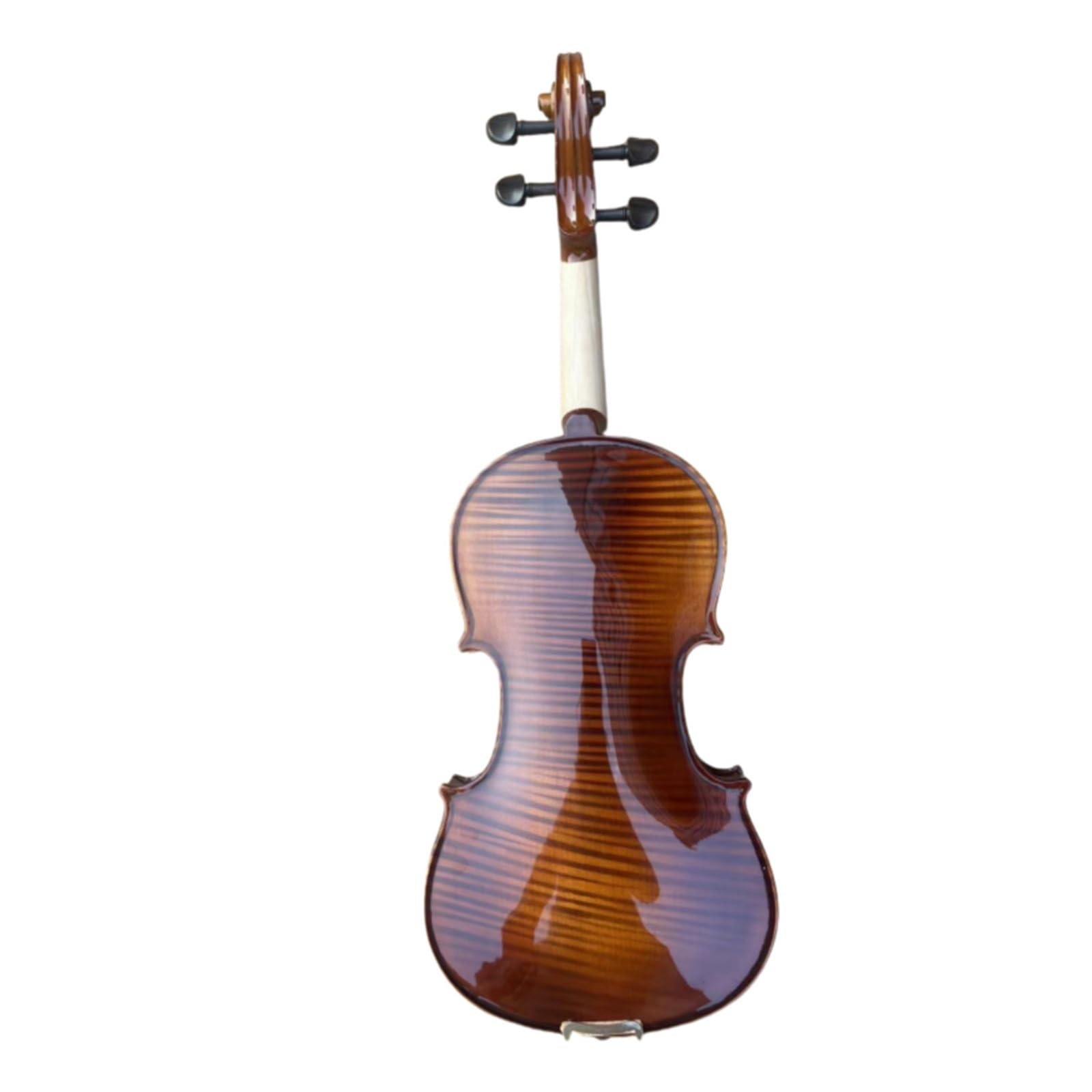 Professional Violin Set Adult Practice Beginner 4/4 Violin Complete Set With Accessories(Antique gloss)