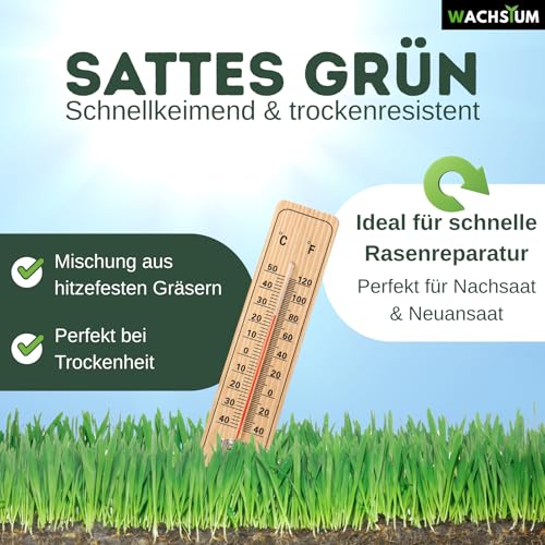 Rasensamen schnellkeimend 1kg 40qm – Frühjahr und Sommer Premium Grassamen Nachsaat, dichter strapazierfähiger Rasen, Mähroboter geeignet – kräftiges Wachstum, RSM Qualität,