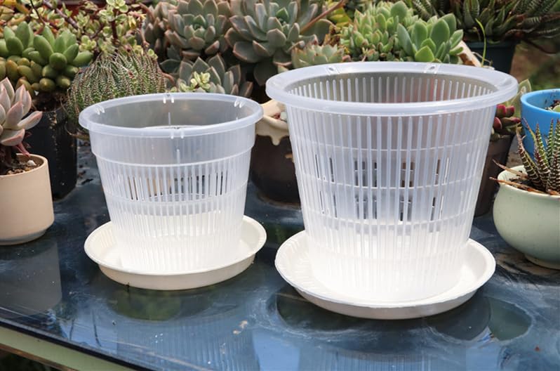 Yhenlovtt 10er Set Transparente Pflanztöpfe - Mit Ablauflöchern Für Orchideen & Sukkulenten