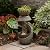 Takamota Outdoor Water Feature Patio Fountain with LED Lights, 31.9" Resin Garden Waterfall Fountain Outdoor, Modern S-Shaped Bowl Design Water Feature for Porch, Garden, Yard, Home Decor, Grey
