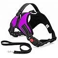 Musonic No Pull Dog Harness Breathable Adjustable Comfort Free Leash Included for Small Medium Large Dog Best for Training Walking M Purple