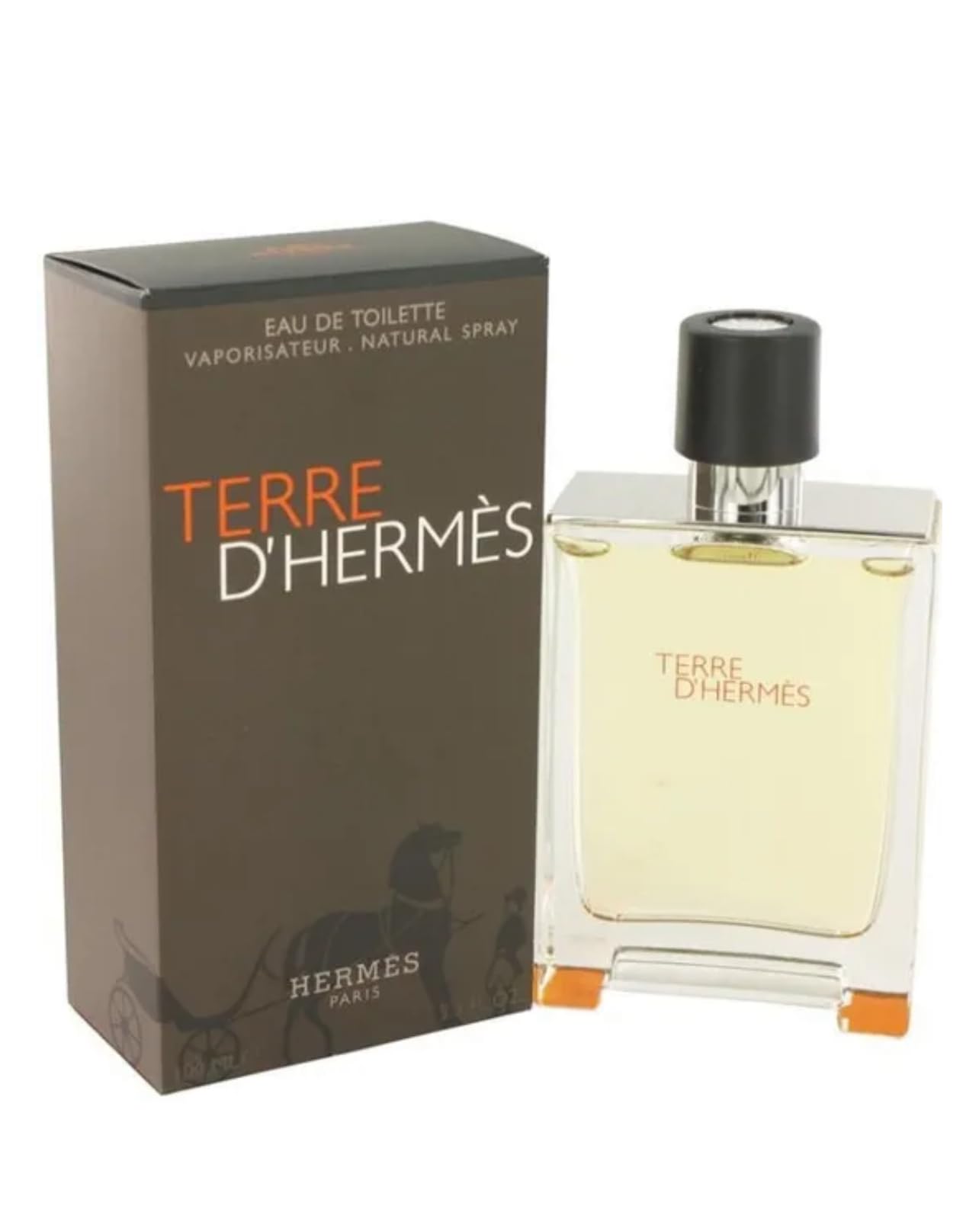 Hermes Terre d'Hermès Eau de toilette vapo 100 ml